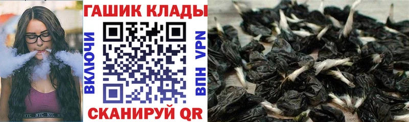 kraken tor  Артём  ГАШ VHQ 