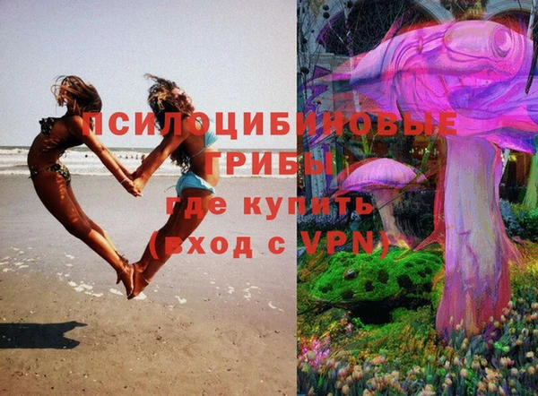 PSILOCYBIN Пестово