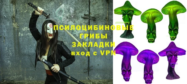 прущие крисы Козловка