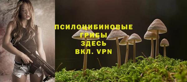 молекула духа Переславль-Залесский