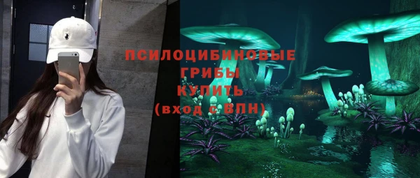 молекула духа Переславль-Залесский